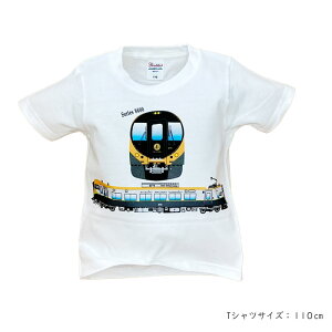 q S TVc y JRl d 8600n z d  }  Â dԍD v[g a LbY jr |Cg w  ݌ tVc Mtg  H s 