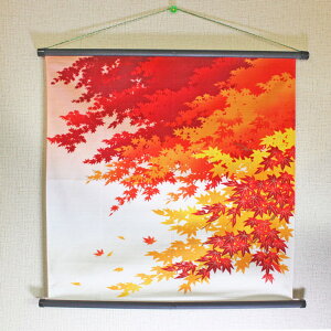 ^yXg[ Ǌ| a y lG C~  ^yXg[_ Zbg z C~ 50cm  Ǌ| G  ~  | _   CeA v[g |Cg  