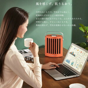 yԎozPTCZ~bNq[^[ ]|dIt ߔMh~ iCRABS 950W ȃGl É ^C}[t ^g[