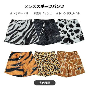 V[gpc Y oXp ^CK[ Ip[h[u n[tpc X|[cEFA oXPbgpc W  z ʋC  jO ėp zCg ubN C