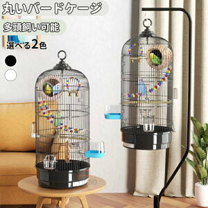 o[hP[W    34 s34 72cm P[W o[hpX ~܂  GT2 uR o[hubWt  ȒP CRP[W IEP[