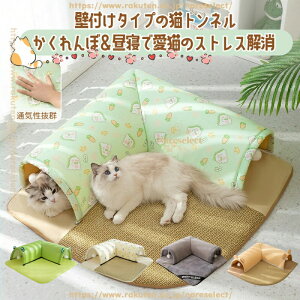 2WAYgl^LnEX V  V ̎ P P Vђ Vэ -