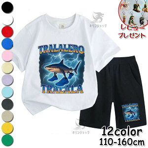 gDgDgDTt[ C^AuC bg q LbY ZbgAbv W[W ㉺Zbg  q Tung Tung Tung Sahur gEg TVc pc pW} 100% 