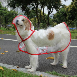 yyVX[p[SALE10%OFFz CR[g p |` ybgCR[gJbp JH h h h ^ ^ ^ Xqt ϋv ʋC EȒP K Sh ̓