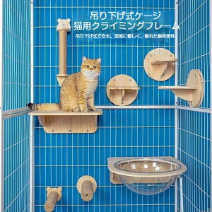 L P[Wpebv L P[Wp܂Ƃ|[ P[Wt ˂ ܌ VR P[Wp ȃXy[X |[ ߂Ƃ  LpQ[W ybgQ[W t ȒP c^ lC lR Lb