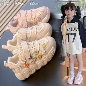 yyVX[p[SALEzX|[cV[Y _bhXj[J[  LbYV[Y qXj[J[ Xj[J[ V[Y qXj[J[ qXj[J[22 ̎q X|[cC WjA q