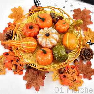 nEB ڂ 50PCS nEB ~j ڂ UpvL ڂ ǂ񂮂 gt gݍ킹 nEBuZbg ӍՏɍœKȑʂȏH̑iZbg