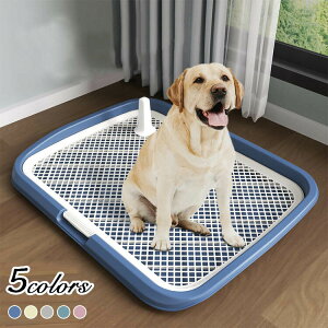 gC  gC pgC gCe gC{ g[jO  gCg[jO ̃gC ybgg[ gCg[