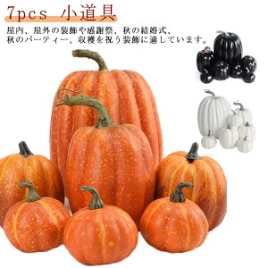   J{` 7pcs Be nEBJ{` u  diy ڂ pvL I[ig O p[eB[ nEB X nEB IuWF CeA 킢 zCg u