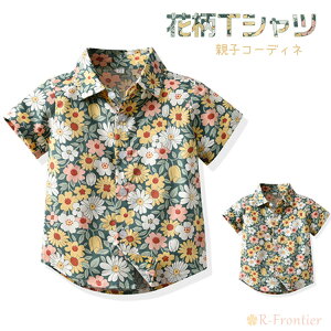 yAbN AnVc tVc TVc eq  n  Vc eqyA NR[f Zbg Vc ԕ Vc pp q IV e Ђȋe }}  낢 eqR[f 