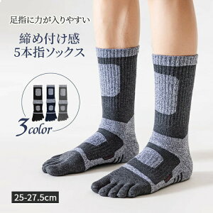 5{w\bNX I[pC L 100 3Zbg 5 Zbg Y ܖ{w\bNX 5{wC ܖ{wC     Ɨp j am jɂ R hL rWlX\bN