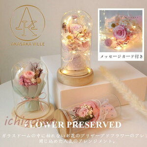 vU[uht[ ̓ 2023  Mtg hV̓ jv[gKX ͂Ȃ ỉ iCgCg  \ a {gt[