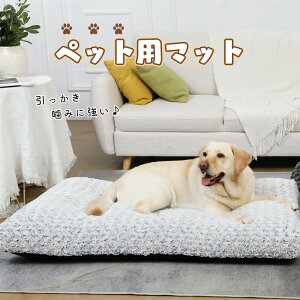 ybgxbh }bg g  ӂӂ ybgpxbh }bg NbVzc  ybg L t[X uPbgH~h 薰 K \ _炩ybg}bg 