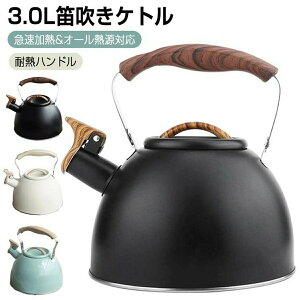 Pg JPg ₩ 3.0L e   |bg  k ؐnh e L R[q[ eB[|bg IHΉ XeX Lb`