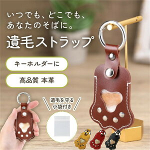 ybg ѓ ʐ^ ̃J^` ybg   ybg  P[X ybg AObY {v L[O ybg   ybg  P[X ybg  A ybg