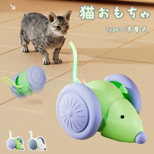 L   ybgpi L{[ L  {[ dC USB [dt {[ C^NeBuȔLp{[ EBLbh}EX d