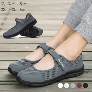 fB[X Xb| V[Y Xj[J[ ɂ JWA r EH[LO 킢  i[XV[Y  y ~ ϖ ʋC wlC d ɂ 22.