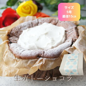 生ガトーショコラ ガトーショコラ チョコレート チョコケーキ 5号 人気 スイーツ ギフト チョコ 生クリーム お取り寄せ ケーキ 濃厚 お祝い 大人 誕生日 人気 記念日