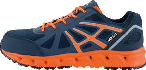 XE:85142 ˂ZteB[V[Yy ƌC@SC Xj[J[ 22cm`30cm |c Ռzz