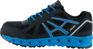 XE:85142 ˂ZteB[V[Yy ƌC@SC Xj[J[ 22cm`30cm |c Ռzz