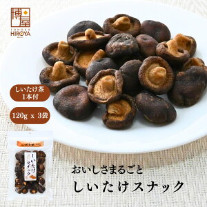  XibN 120g x 1 `  őXibN  `bv  ő`bv VC^P hCő ۂƂ َq   ĉَq ؃`b
