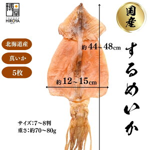  kCY  1` ^ p Y  Ɩp p 唻 ߂ XCJ  X  CJ ܂  