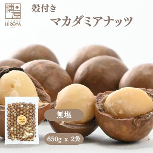  I[XgAY kt [Xg }J_~Aibc 650g x 1  v[ e  ibc ܂   fĂ َq  }Jf~Aibc 퉷 