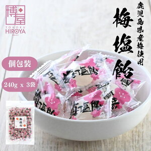 ~ 240g x 1܁`  ⋋ M΍  퉷ۑ `bNܓ ~GLX _ς  ̂Ȃ aَq 炢   ق Ȃ~