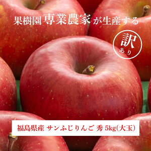  Y  Tӂ G5kg(ʁA)ED 5kg() x 1`  Y t[c ʕ  H@  Mtg ь yY ӂ ӂ  T ӂ܃vC