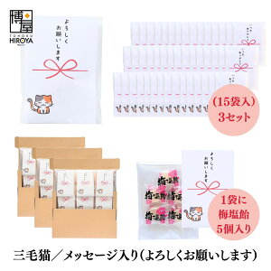 yő500~OFFN[|zz}\z  ސE   Ԃ OєL v`Mtgu낵肢܂v (ق~3 ~5 ʂ˂X[v2 Ƃ炵~