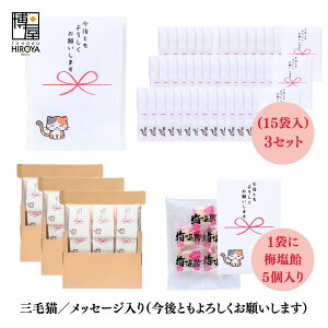 yő500~OFFN[|zz}\z  ސE   Ԃ OєL v`MtguƂ낵肢܂v (ق~3 ~5 ʂ˂X[v2 Ƃ