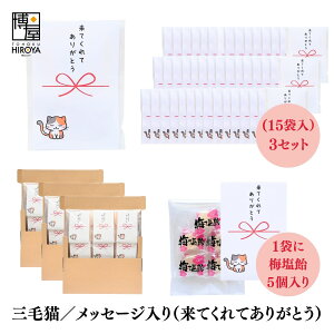 yő500~OFFN[|zz}\z  ސE   Ԃ OєL v`Mtgu ĂĂ肪Ƃ v (ق~3 ~5 ʂ˂X[v2 Ƃ炵