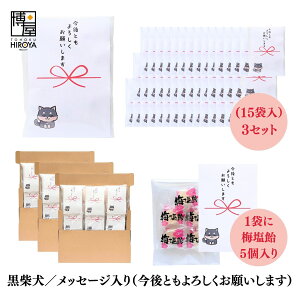 yő500~OFFN[|zz}\z  ސE   Ԃ Č v`MtguƂ낵肢܂v (ق~3 ~5 ʂ˂X[v2 Ƃ