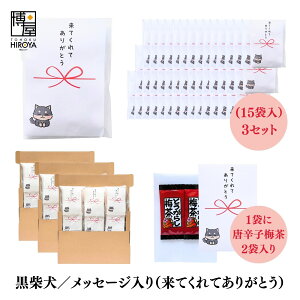   ސE   Ԃ Č v`Mtgu ĂĂ肪Ƃ v (ق~3 ~5 ʂ˂X[v2 Ƃ炵~2{ 3{je 15 x 1Zbg` A