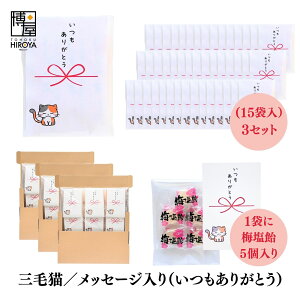   ސE   Ԃ OєL v`Mtgu 肪Ƃ v (ق~3 ~5 ʂ˂X[v2 Ƃ炵~2{ 3{je 15 x 1Zbg` A