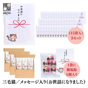   ސE   Ԃ OєL v`Mtgu bɂȂ܂v (ق~3 ~5 ʂ˂X[v2 Ƃ炵~2{ 3{je 15 x 1Zbg` A