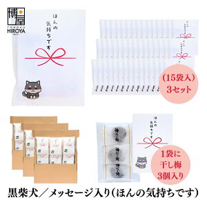   ސE   Ԃ Č v`Mtgu ق̋Cł v (ق~3 ~5 ʂ˂X[v2 Ƃ炵~2{ 3{je 15 x 1Zbg` A