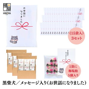   ސE   Ԃ Č v`Mtgu bɂȂ܂ v (ق~3 ~5 ʂ˂X[v2 Ƃ炵~2{ 3{je 15 x 1Zbg` A