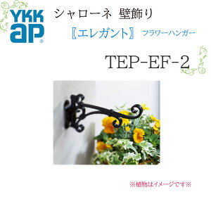 YKK �V�����[�l�Ǐ��� �G���K���g �t�����[�n���K�[ TEP-EF-2 244×135 �V�����[�l �Ǐ��� �G���K���g �t�����[�n���K�[ ���t�H�[�� YKKAP