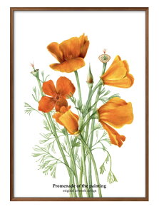  t[ G̎U IWii A3 TCY |X^[ A[g  G CeA k CXg }bg  A[gpl z t[ fUC Ǌ| Mtg Vzj 