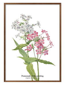  t[ G̎U IWii A3 TCY |X^[ A[g  G CeA k CXg }bg  A[gpl z t[ fUC Ǌ| Mtg Vzj 