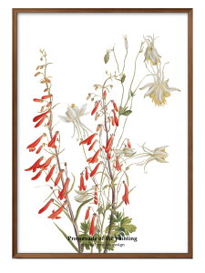  t[ G̎U IWii A3 TCY |X^[ A[g  G CeA k CXg }bg  A[gpl z t[ fUC Ǌ| Mtg Vzj 