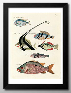 Cm re[WCXg A3 TCY |X^[ A[g  G CeA k CXg }bg  A[gpl z t[ fUC Ǌ| Mtg Vzj fBXvC