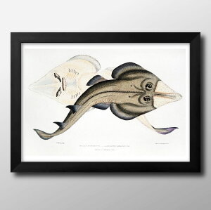 Cm re[WCXg A3 TCY |X^[ A[g  G CeA k CXg }bg  A[gpl z t[ fUC Ǌ| Mtg Vzj fBXvC