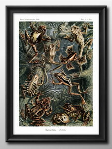 GXg wbP A3 TCY |X^[ A[g  G CeA k CXg }bg  A[gpl z t[ fUC Ǌ| Mtg Vzj fBXvC B 