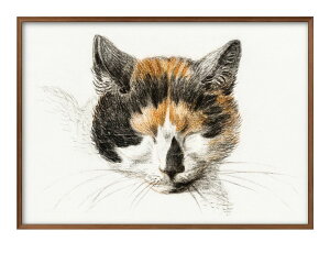 W xi[ Head of a calico cat with closed eyes A3 TCY |X^[ A[g  G CeA k CXg }bg  A[gpl z t[ fUC Ǌ| Mtg Vz
