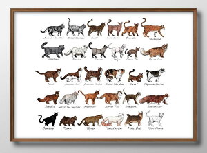 L̕iRNV A3 TCY |X^[ A[g  G CeA k CXg }bg  A[gpl z t[ fUC Ǌ| Mtg Vzj fBXvC B 