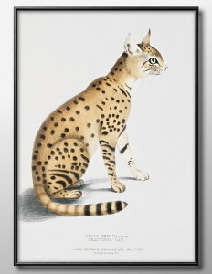 g[}X n[hEBbN Asiatic Wildcat A3 TCY |X^[ A[g  G CeA k CXg }bg  A[gpl z t[ fUC Ǌ| Mtg Vzj fB