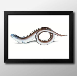 Cm re[WCXg A3 TCY |X^[ A[g  G CeA k CXg }bg  A[gpl z t[ fUC Ǌ| Mtg Vzj fBXvC