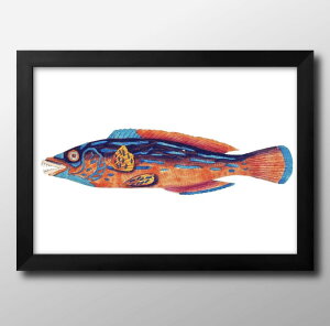 Cm re[WCXg A3 TCY |X^[ A[g  G CeA k CXg }bg  A[gpl z t[ fUC Ǌ| Mtg Vzj fBXvC